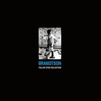 Brandtson - Fallen Star Collection vinyl cover
