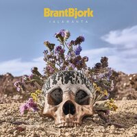 Brant Bjork And The Bros - Jalamanta (20 Year Anniversary) vinyl cover