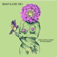 Brant Bjork - Once Upon A Time In The Desert vinyl cover