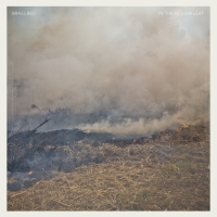 Brass Bed - In The Yellow Leaf vinyl cover