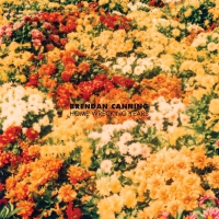 Brendan Canning - Home Wrecking Years vinyl cover