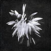 Brent Windler - New Morning vinyl cover