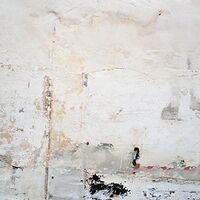 Brett Naucke - Mansion vinyl cover