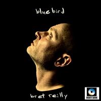Brett Reilly - Bluebird vinyl cover
