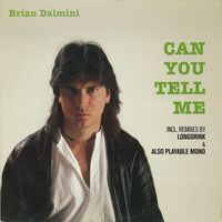 Brian Dalmini - Can You Tell Me vinyl cover