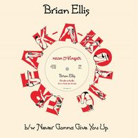 Brian Ellis - Freak-A-Holic vinyl cover