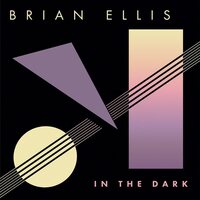 Brian Ellis - In The Dark vinyl cover