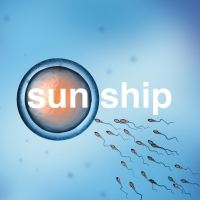 Brian Jonestown Massacre - Sun Ship vinyl cover