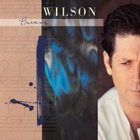 Brian Wilson - Brian Wilson vinyl cover