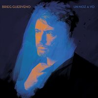 Brieg Guerveno - Un Noz a Vo vinyl cover