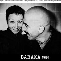 Brigitte Fontaine - Baraka 1980 vinyl cover