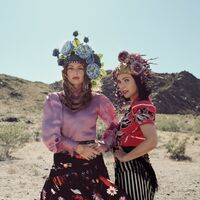 Brigitte - Nues vinyl cover