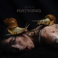 Brimheim - Ratking vinyl cover