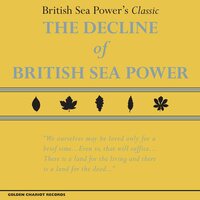 British Sea Power - The Decline of British Sea Power vinyl cover
