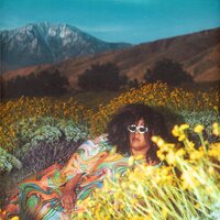 Brittany Howard - What Now vinyl cover