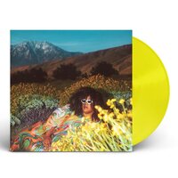 Brittany Howard - What Now vinyl cover