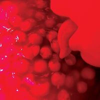 Broncho - Bad Behavior vinyl cover