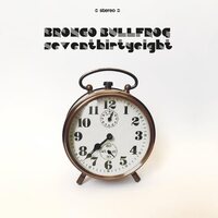 Bronco Bullfrog - Seventhirtyeight vinyl cover