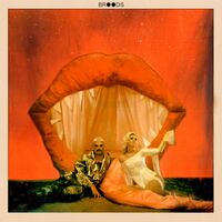 Broods - Don't Feed The Pop Monster vinyl cover