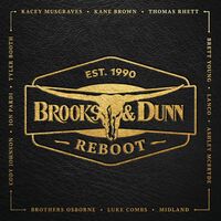 Brooks & Dunn - Reboot vinyl cover
