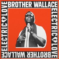 Brother Wallace - Electric Love vinyl cover