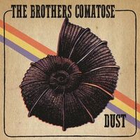 Brothers Comatose - Dust vinyl cover