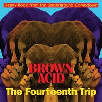 Brown Acid - Fourteenth Trip / Various Artists - Brown Acid - Fourteenth Trip vinyl cover