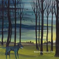 Brown Fang - Sherwood Pines vinyl cover