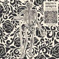 Brown Spirits - Cosmic Seeds vinyl cover