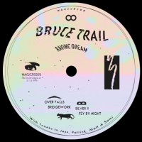 Bruce Trail - Ravine Dream vinyl cover