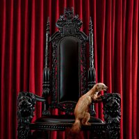 Brume - Marten vinyl cover