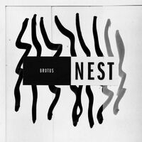 Brutus - Nest vinyl cover