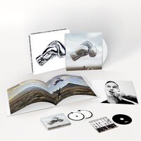 Bryan Adams - Roll With The Punches: Deluxe (White) vinyl cover