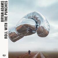 Bryan Adams - Roll With The Punches (Box Set) vinyl cover