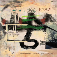 Bryan Murray - Wolf vinyl cover