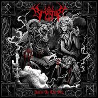 Brymir - Voices In The Sky vinyl cover