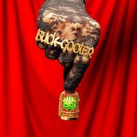 Buck Gooter - Head In A Bird Cage vinyl cover