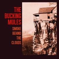 Bucking Mules - Smoke Behind The Clouds vinyl cover