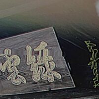 Budamunk - Green Cloud vinyl cover