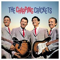 Buddy Holly - Chirping Crickets vinyl cover