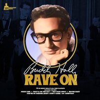 Buddy Holly - Rave On vinyl cover