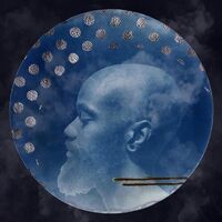 Buffalo Nichols - The Fatalist vinyl cover