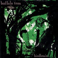 Buffalo Tom - Birdbrain vinyl cover