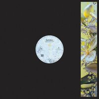 Bufobufo - Celandine vinyl cover