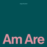 Bugge Wesseltoft - Am Are vinyl cover