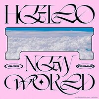 Bugs + Tsubame - Hello New World vinyl cover