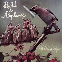 Build Us Airplanes - All Things Expire vinyl cover