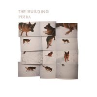 Building - Petra vinyl cover