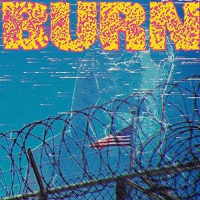 Burn - ...from The Ashes vinyl cover