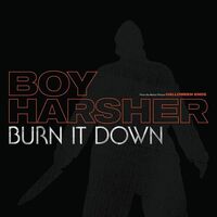 Burn It Down - Burn It Down vinyl cover